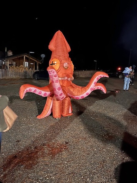 Great Octopus Costume!!!! 