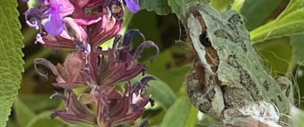 Slideshow Image 7